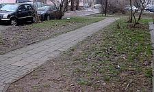 Więcej zieleni na Ciołka i Obozowej? "Od kilku lat proszę"