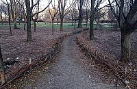 Garść pomysłów dla parku Olszyna