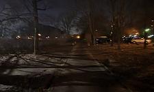 Garść pomysłów dla parku Olszyna