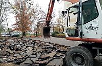 Mniej betonu, więcej zieleni na bielańskich podwórkach