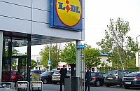 Wycięli drzewa pod market. Kolejny Lidl powstaje na Białołęce?