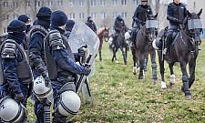 Trzydniowe szkolenie policyjnych koni w Warszawie [GALERIA]