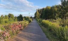 Nowa propozycja dla rowerzystów. Rowerem do Nieporętu i Marek?