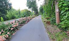 Nowa propozycja dla rowerzystów. Rowerem do Nieporętu i Marek?