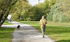 Pies zaatakowany gazem? Sprawa zgłoszona Facebookowi, policja nic nie wie