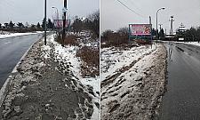 Bagno Shreka na Białołęce. Mieszkańcy wołają o chodniki