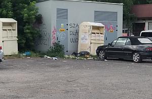 Groźby, wandalizm, a nawet ekshibicjonizm. "Dochodzi do scen obscenicznych"