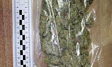 Schował marihuanę w bieliźnie. Policja ją znalazła