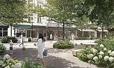 Zieleń odmieni Chmielną