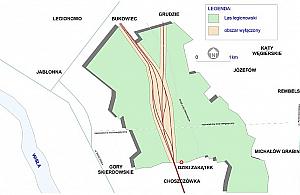 Kolejarze planują unicestwić las. Zabiorą 200 hektarów