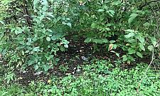 Bródno tonie w śmieciach. "Mieszkańcy chcą koszy"