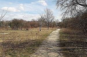 Przedłużenie Piastów Śląskich nie wszystkim w smak. Mieszkańcy zablokują inwestycję?