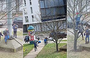 Wojna z uczniami na Tarchominie. "Depczą trawnik, wchodzą na drzewo"