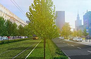 Zwężą kolejny odcinek Marszałkowskiej. Zieleń zamiast asfaltu