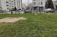 Zielony skwer z parkingiem zamiast podwórka rodem z PRL-u?