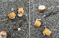 Parówki ze szkłem w Choszczówce. Ktoś chciał wytępić psy