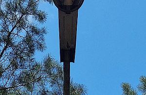 Szok! Drogowcy zrobili to nawet tutaj