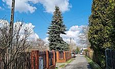 Szok! Drogowcy zrobili to nawet tutaj