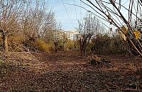 Owocowy Ogr�d "Arkadia Bis" przy Woronicza?