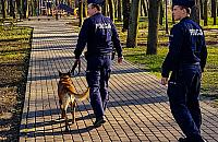 Agresywny pies rozerwał twarz działkowicza