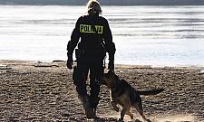 Agresywny pies rozerwał twarz działkowicza