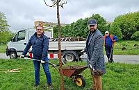 Kasztanowce i jabłonie od dewelopera. "Niech park będzie parkiem"