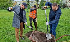 Kasztanowce i jabłonie od dewelopera. "Niech park będzie parkiem"