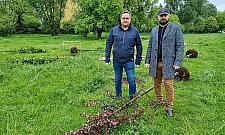 Kasztanowce i jabłonie od dewelopera. "Niech park będzie parkiem"