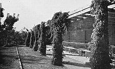 Przedwojenny dzieciniec nie powróci na Boernerowo. Zagraża bezpieczeństwu państwa?