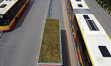 Kolejne wiaty przystankowe dla Bemowa?