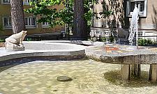 Fontanna z żabkami ponownie zdobi Muranów