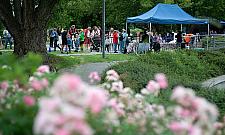 Plenerowe harce z Bemowskim Centrum Kultury