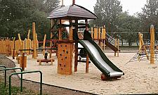 Nowe pomysły na uatrakcyjnienie Lasu Młocińskiego