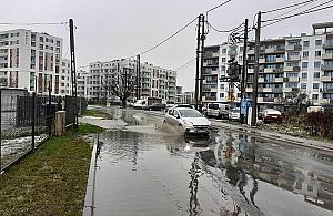 Chrzanw sparaliowany komunikacyjnie