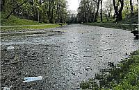 Fosa Fortu Bema b�dzie bardziej zadbana?