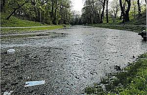 Fosa Fortu Bema będzie bardziej zadbana?