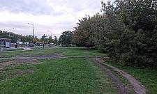 Propozycje dla parku Olszyna. Na co możemy zagłosować?