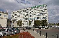 Zegar zamiast drzew?