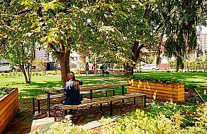 Czy mieszkańcy Targówka zagłosują na parki kieszonkowe?