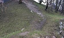 Jest szansa na schody na stromym nasypie przy Arkadii