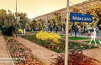 Zieleń zamiast betonu przed wolskim magistratem?