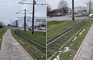 Kilka propozycji dla głównej arterii Tarchomina