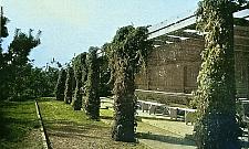 Zaskakujący zwrot w sprawie dziecińca! Już nie zagraża bezpieczeństwu państwa?