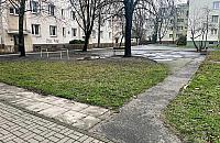 Eko-projekty dla Mokotowa. G�osujemy!