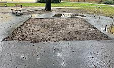 Eko-projekty dla Mokotowa. Głosujemy!