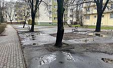 Eko-projekty dla Mokotowa. Głosujemy!