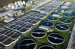 Smród z Czajki jest nie do zniesienia. MPWiK wyjaśnia