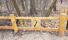 Nowe parki kieszonkowe i jeszcze więcej drzew? Głosujcie!