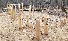 Nowe parki kieszonkowe i jeszcze więcej drzew? Głosujcie!