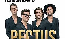 Przywitajcie lato z zespołem Pectus! Co jeszcze przed nami?